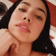 little_bicth_model