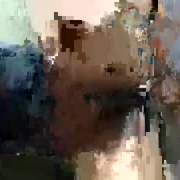 fuckingforfunmd