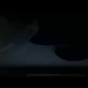 dancesexx