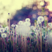 morn1ng_star