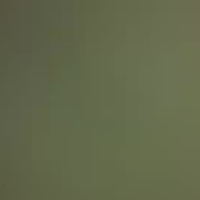 shahin__hsa73