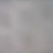 alisha_xxx
