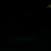 allurdreamscometru18