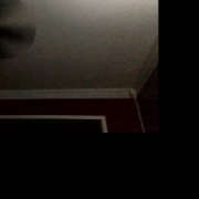 xxprincipessaxxkleexx