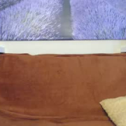 tashasroom