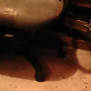 kittenpurringmeowtrannycierra