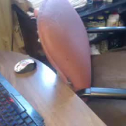 mypenisisyours69