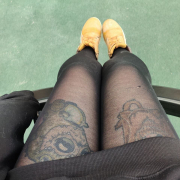 Small_sunny_owl