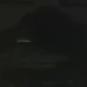 timjnorth