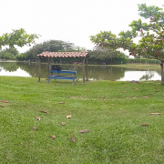 jpelaez