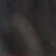 biggreektiger
