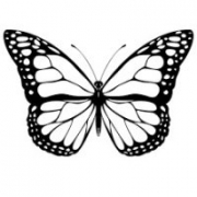 brenda_samy