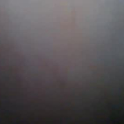 simple_molly