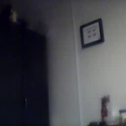 halz123123