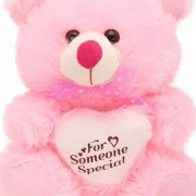 teddy-143