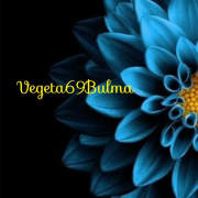 Vegeta69Bulma