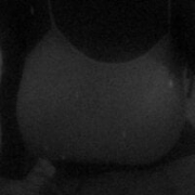 bigtittypresh44