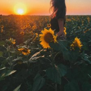annnia