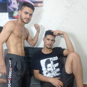 fighting_dogs