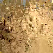 sweetlikehoney69