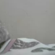 marys_delight
