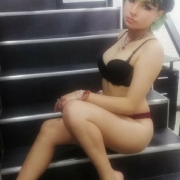 MexCassie