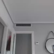 daniblue87