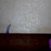 lass_catling