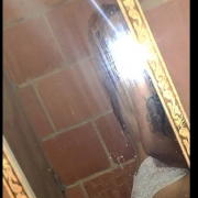brain_horny