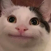 Vilmatest