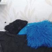 yacki_chick