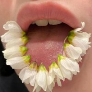 Aloe-p