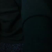 omnisexcouple