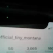 official_tiny_montana