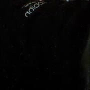 freggel1975