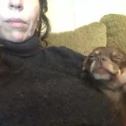 technical_difficulties