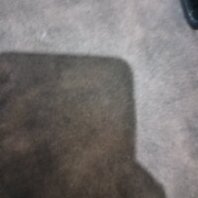 Larisa_dyme