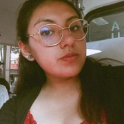 JessyCam2