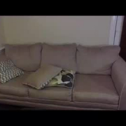 monicaandchandler