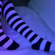 Violet_Spider_