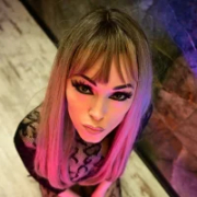 TigerBlazeFoxyMonkey