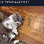 lovemeowmeow