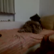 simosickboy