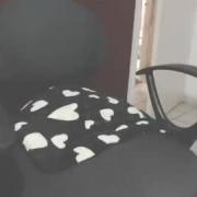 ary_sexy
