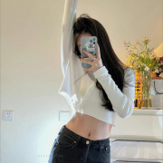 Gingerbread_Xmast