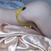 iwilddesire