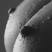 Hugge_tits