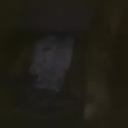 couplenaughty87654321