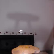 isis_charm