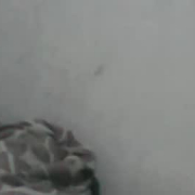 wetsamantha3
